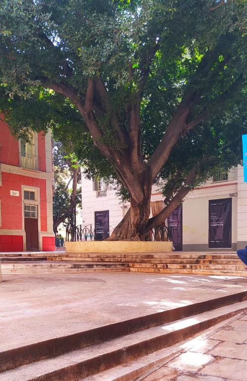 Relaxing vacation home @ the heart of Malaga - 2