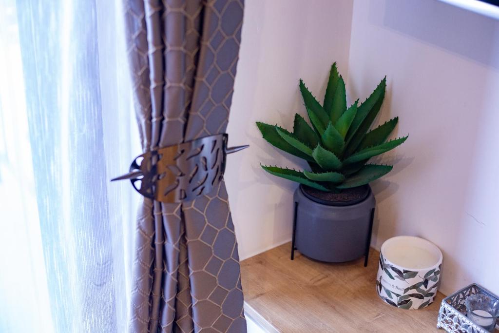 Titova Vila Zlatibor - Resim 41