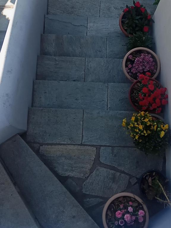Zdjęcie z galerii obiektu Guesthouse Kallisti w mieście Anilio Pelion
