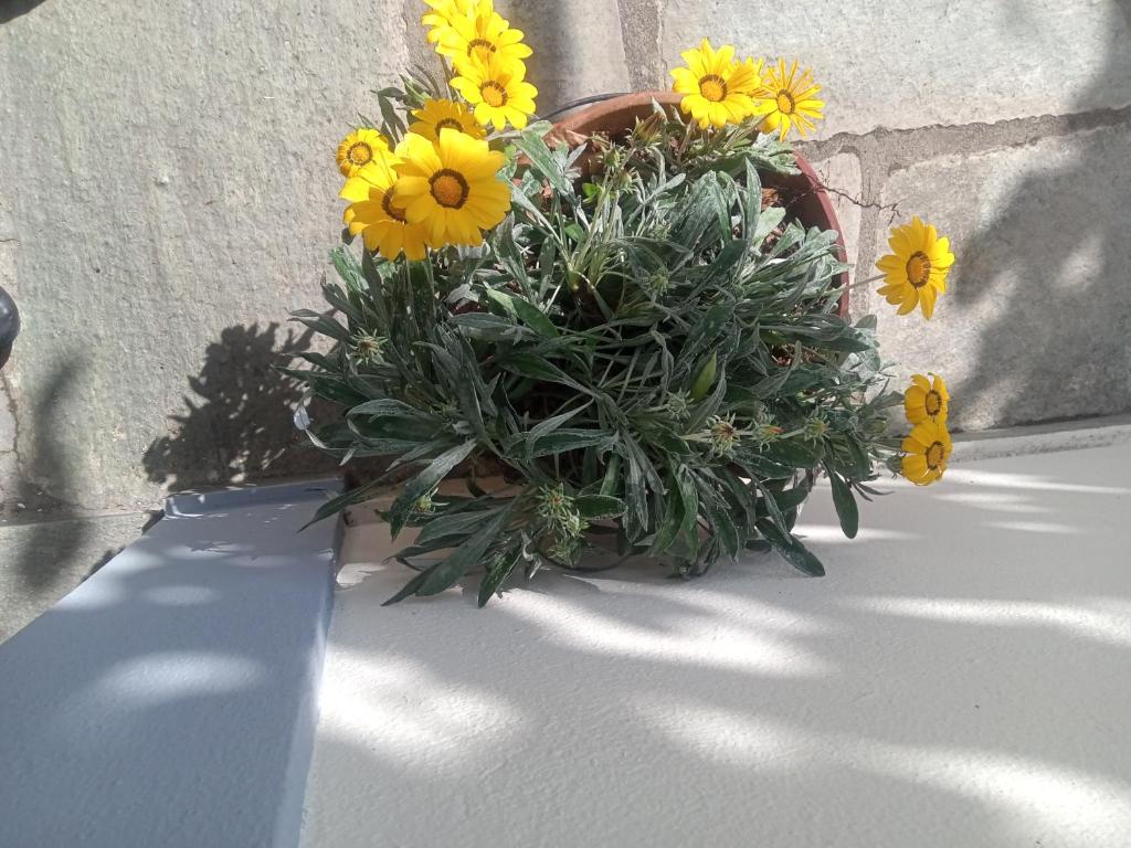 Zdjęcie z galerii obiektu Guesthouse Kallisti w mieście Anilio Pelion