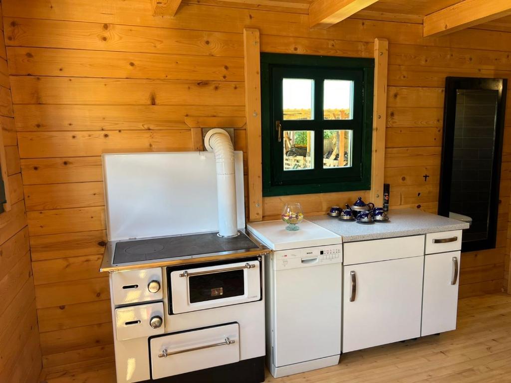 Kuchyň nebo kuchyňský kout v ubytování Cottage Ravna Rijeka