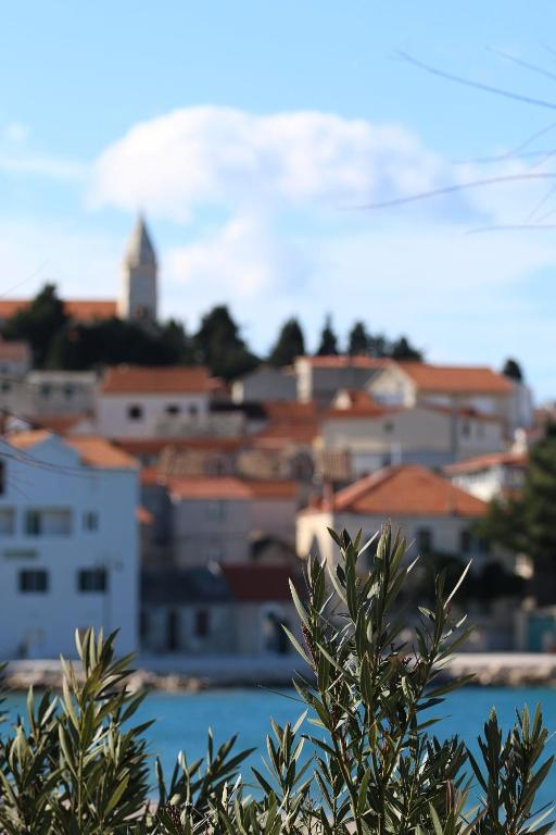 Príroda v okolí apartmánu