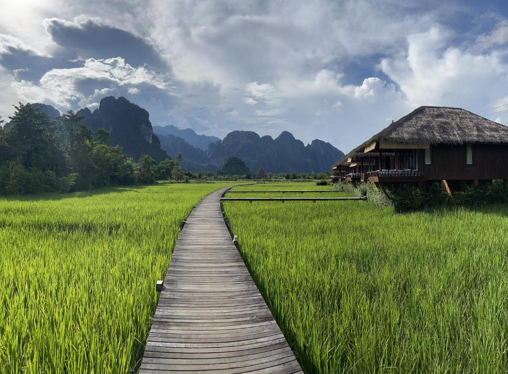 a wooden pathway through a field with a hut at ViengTara VangVieng Resort in Vang Vieng