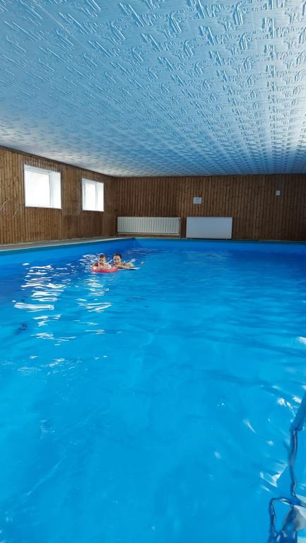 een persoon zwemmen in een groot zwembad bij Ferienwohnung am Waldsee mit Schwimmbad in Gernsbach