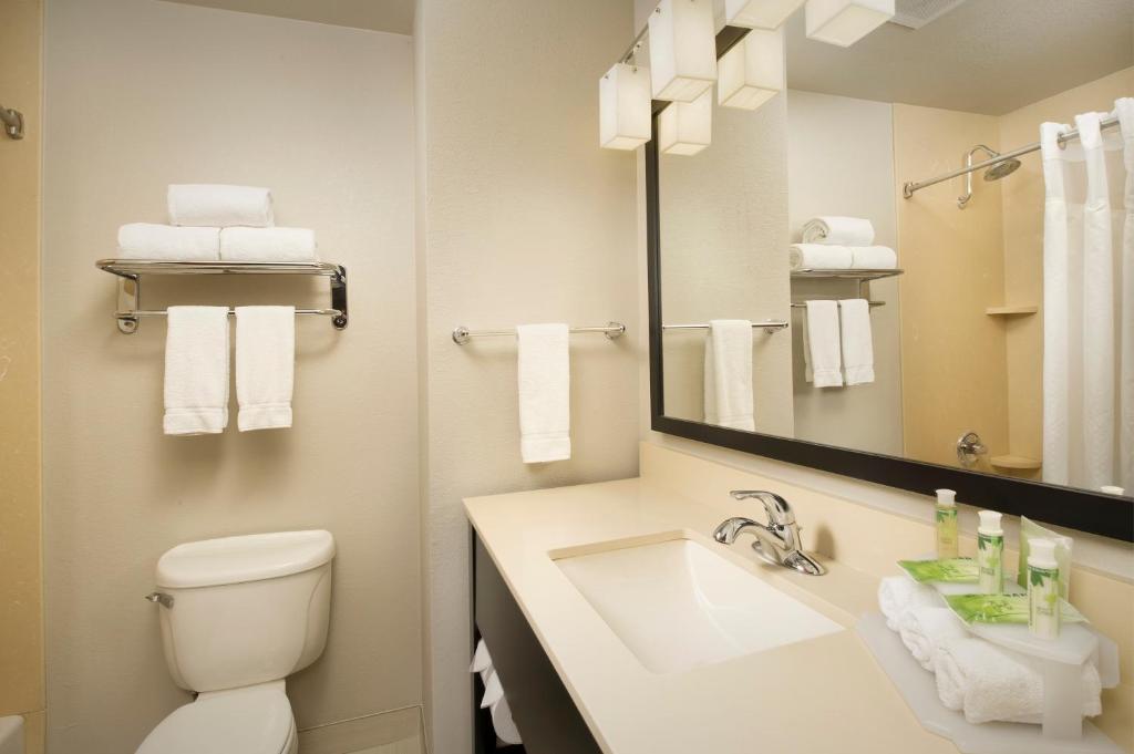Holiday Inn Express Hotel and Suites DFW-Grapevine by IHG photo