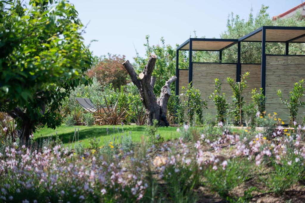 a garden with a tree and a building at Antigoni Seaside Resort in Ormos Panagias