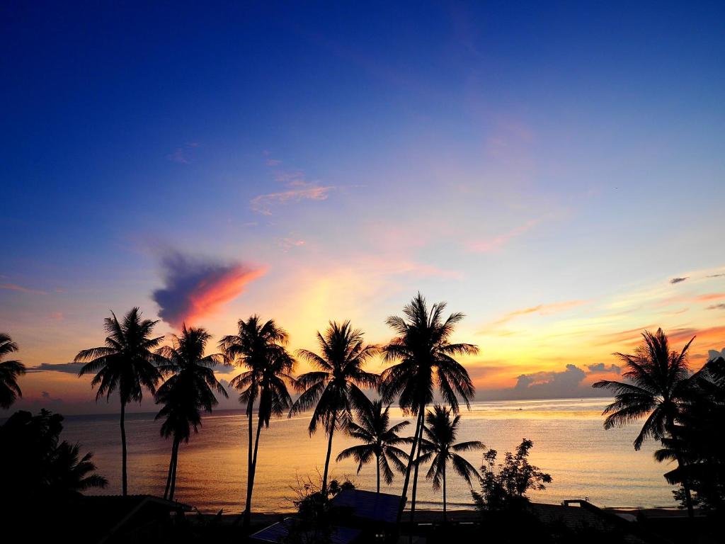 Stardust Boutique Hotel - 2