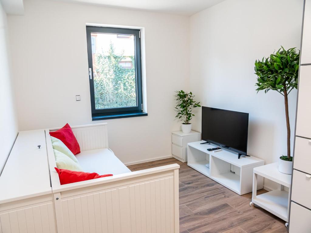 TV a/nebo společenská místnost v ubytování Apartmány Gemini