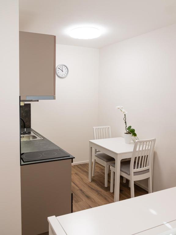 Kuchyň nebo kuchyňský kout v ubytování Apartmány Gemini