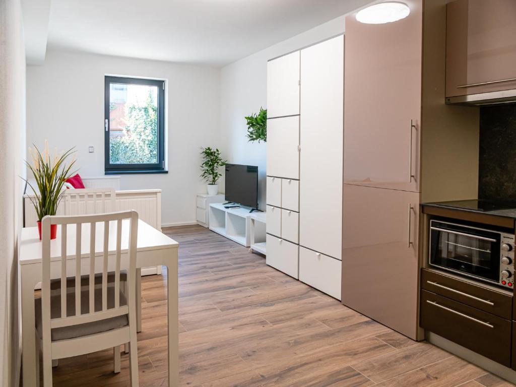 Kuchyň nebo kuchyňský kout v ubytování Apartmány Gemini