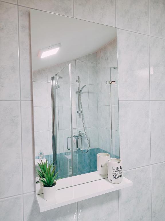 Łazienka w obiekcie Apartment Prominac