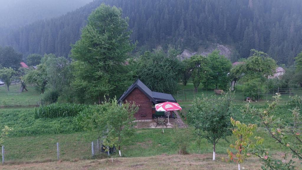 a small house with a red umbrella in a field at Tiny house Casa Axa in Pîrîu Cîrjei