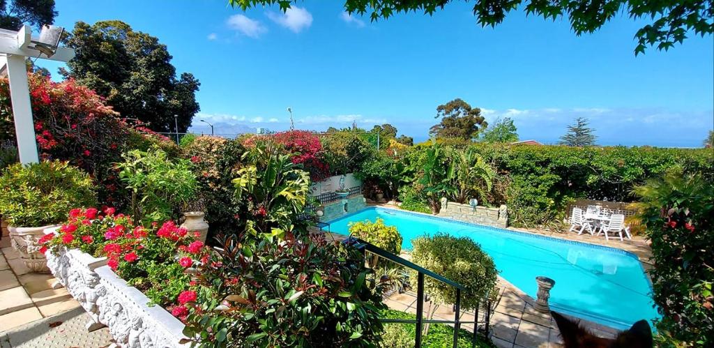 Πισίνα στο ή κοντά στο Roosboom Guest Apartments