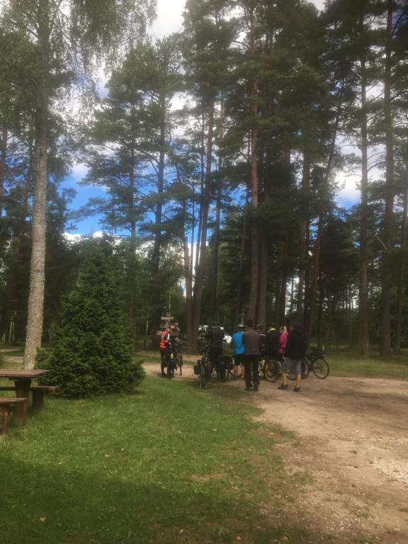 Hosté ubytování Voosemetsa Turismitalu