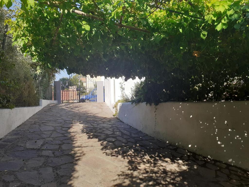 Fotografia z galérie ubytovania Toscana Grande Appartamento in Villa con 2 camere, terrazze, giardino e posto auto privato Tutti spazi uso esclusivo v destinácii Cecina