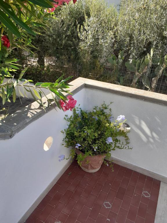 Vonkajšia záhrada v ubytovaní Toscana Grande Appartamento in Villa con 2 camere, terrazze, giardino e posto auto privato Tutti spazi uso esclusivo