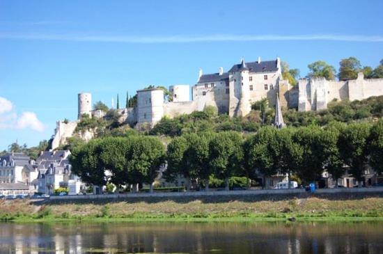 un castillo en la cima de una colina junto a un cuerpo de agua en Studio Centre Ville Chinon, en Chinon