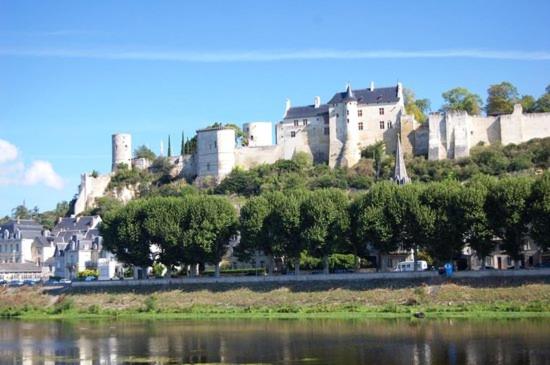 a castle on top of a hill next to a body of water at Studio Centre Ville Chinon in Chinon