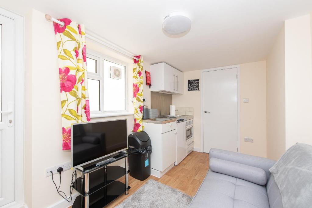 Modern Studio Apartments in Castle St - Apartment With Garden View