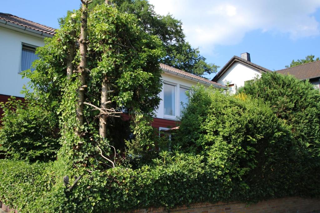 a house obscured by bushes and a tree at Ferienwohnung Zum Rosengarten WEST015 Westerwald in Driedorf