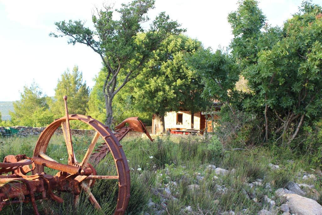 Zahrada ubytování OPG Way Camping