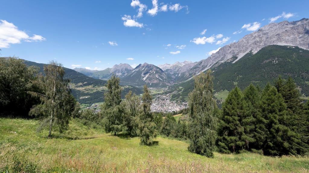 a valley with trees and mountains in the background at Italianway - Ciuk 11 in Bormio