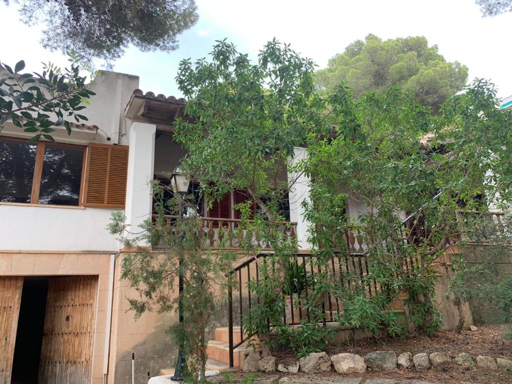 Zahrada ubytování Gemütliches Ferienhaus am Club Nautico, Santa Ponça