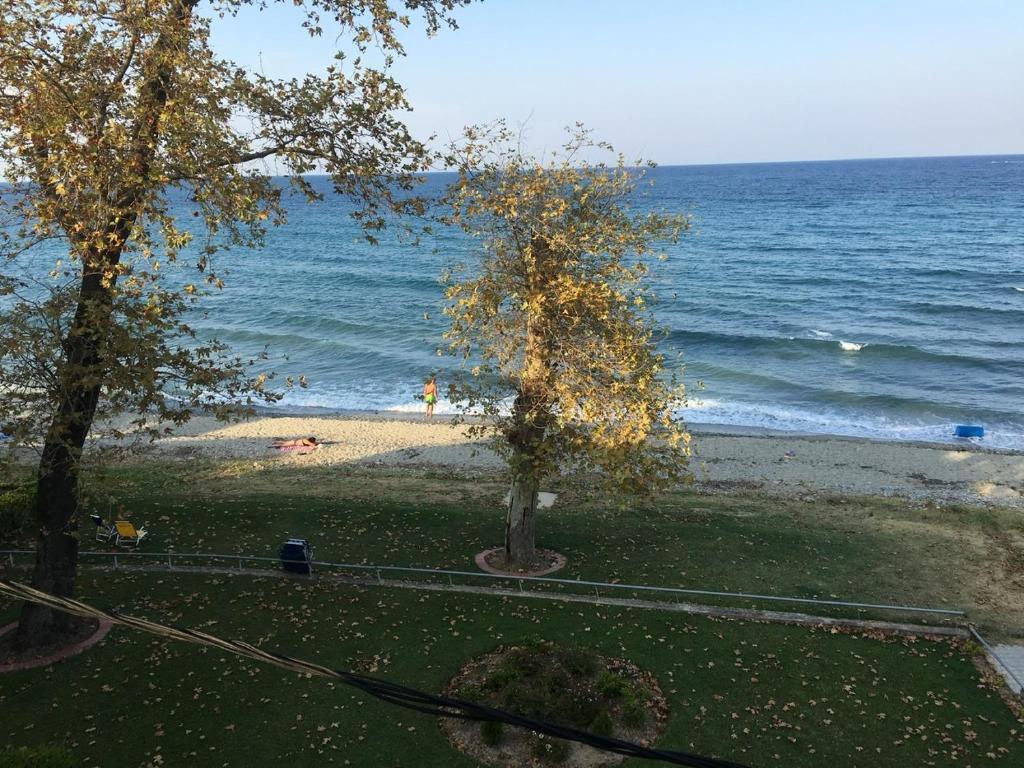 a view of a beach with two trees and the ocean at Platamon sea view house in Platamonas