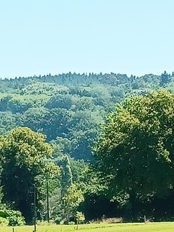 un groupe d'arbres devant une montagne dans l'établissement Chambre d'hôtes indépendante à la campagne, à Saint-Just-le-Martel