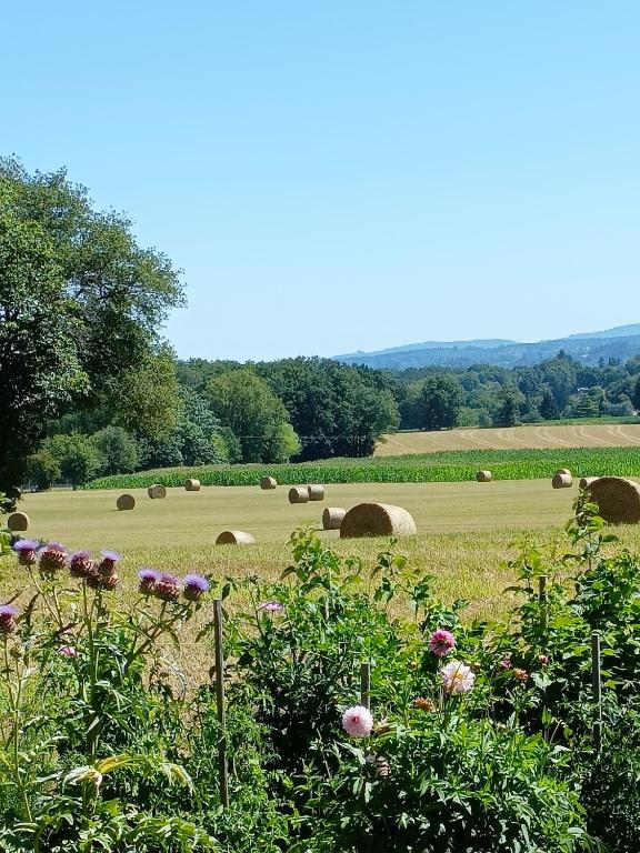 Chambre d'hôtes indépendante à la campagne - Casa De Una Habitación