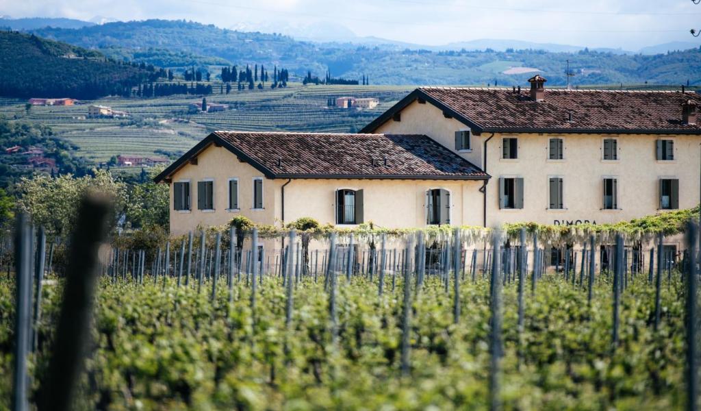 een huis in een wijngaard achter een hek bij Dimora Buglioni Wine Relais in San Pietro in Cariano