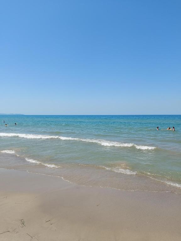 Golden Beach Apartments - Imazhi 4