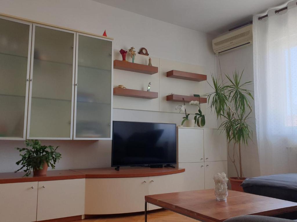 TV a/nebo společenská místnost v ubytování Apartments Ivana