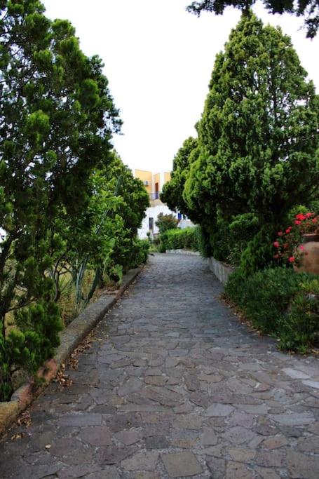 Zahrada ubytování La casa del Capitano, l'uomo e il mare ...
