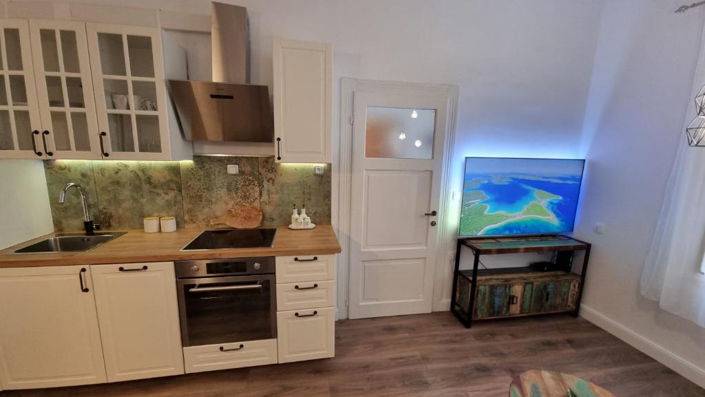 Kuchyňa alebo kuchynka v ubytovaní Luxury apartment Toni