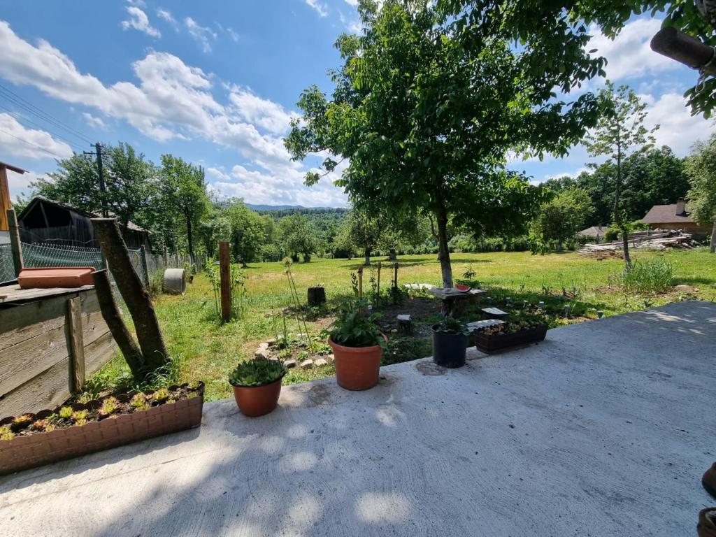 Casa primitoare in inima naturii si padurii - Maison D'une Chambre