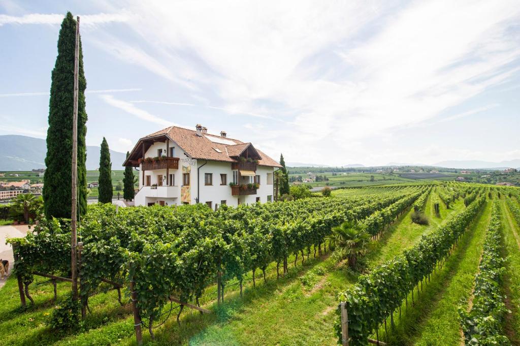 a villa in a vineyard with a house in the foreground at Marolhof in Cornaiano