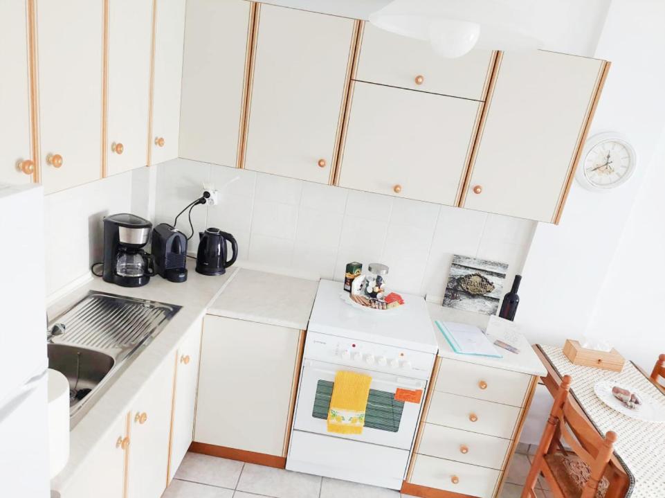 Kuchyň nebo kuchyňský kout v ubytování Intimate Olympus House