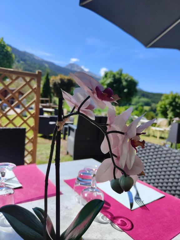Nespecifikovaný výhled na hory nebo výhled na hory při pohledu z hotelu