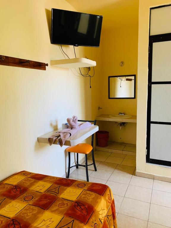 TV a/nebo společenská místnost v ubytování Hotel Sociedad y Maristas