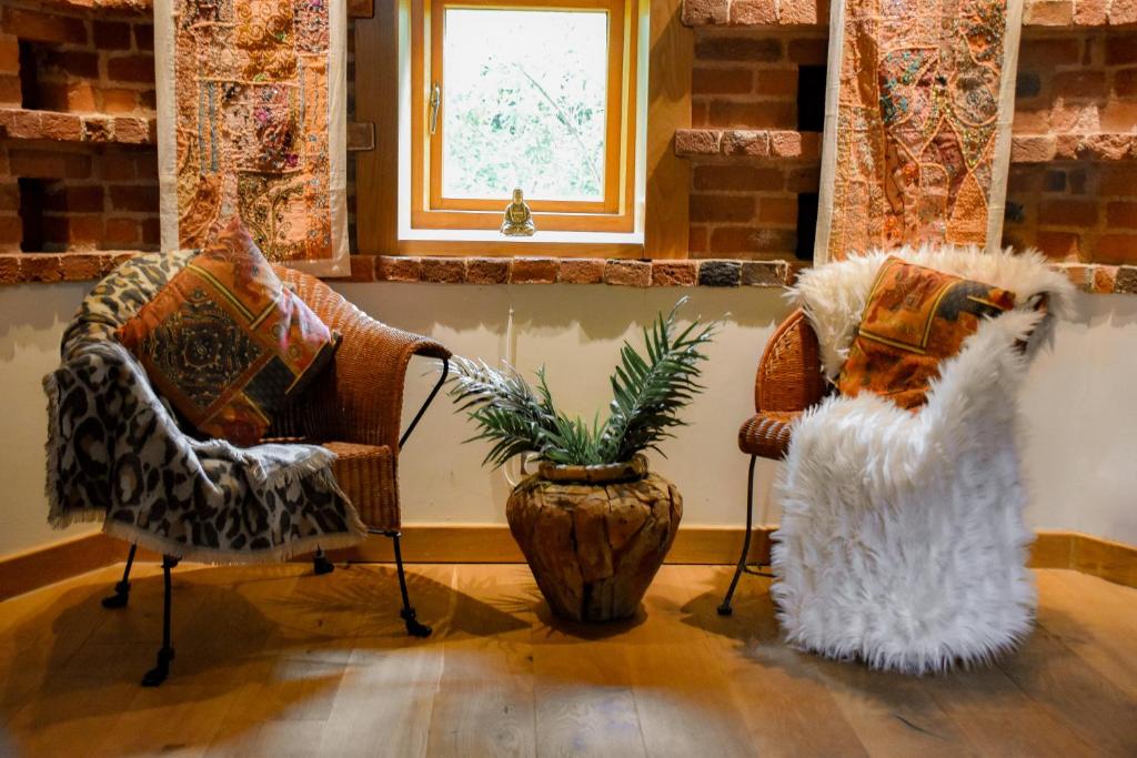 two chairs and a plant in a room with a window at The Hyde Dovecote Kinver in Stourbridge