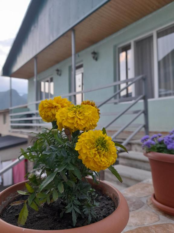 Balkón nebo terasa v ubytování Kera Guest House