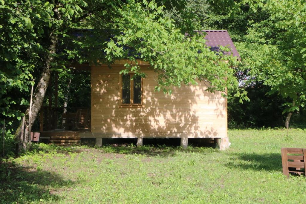 una pequeña casa en un campo con un árbol en inSxvava, en Ambrolauri