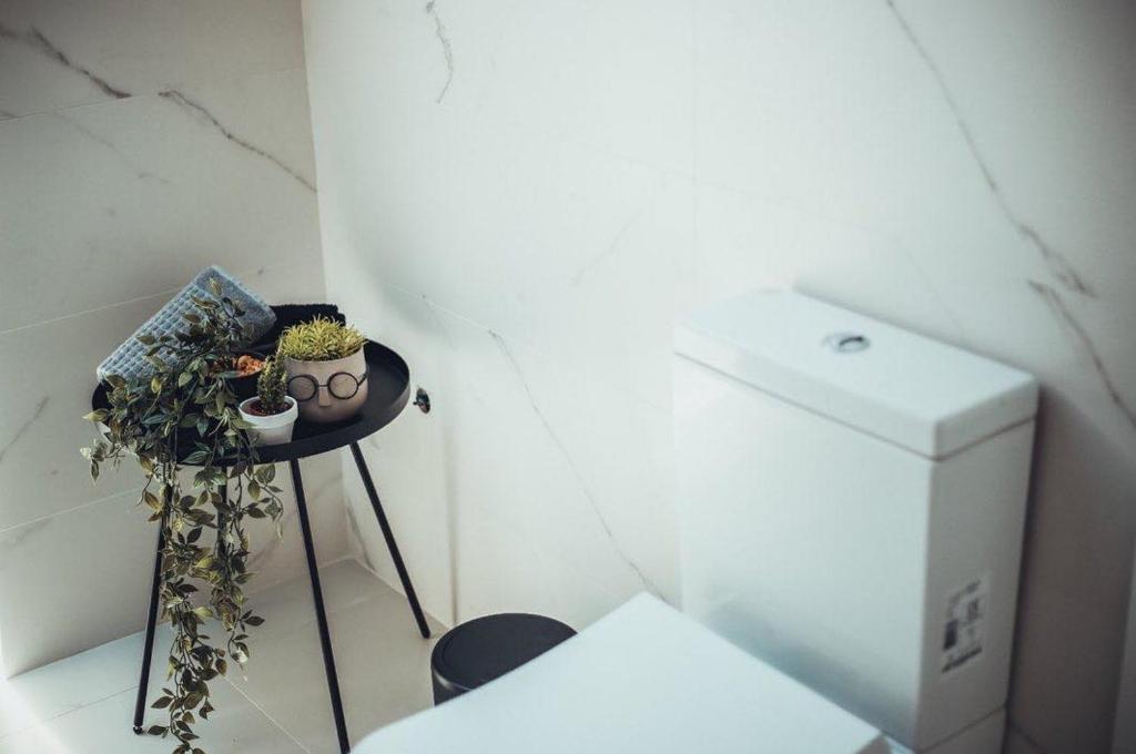 VIP apartments Bitola - Studio