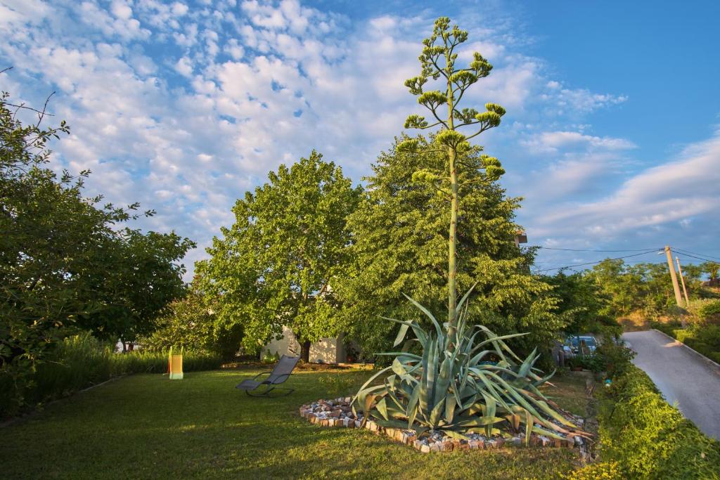 a tree in a garden with a plant at Apartma Pic Ros in Kojsko