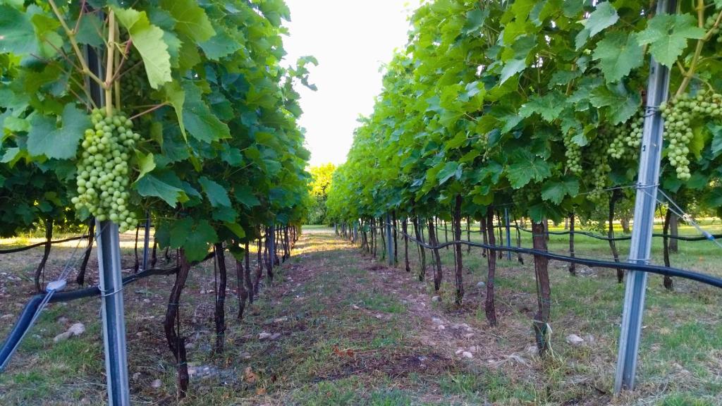 Home Mia Airport - 14