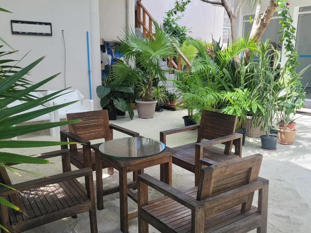 Zahrada ubytování Palm Residence