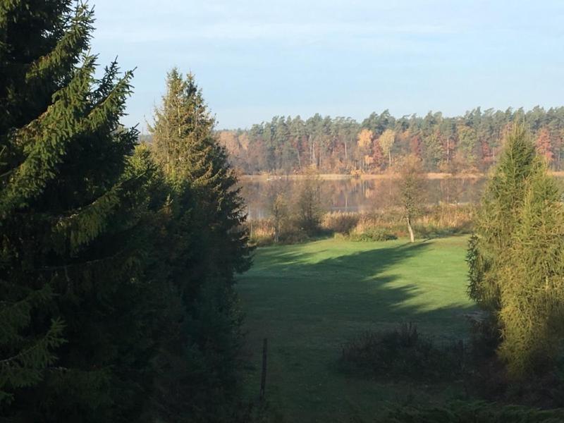 un grande campo verde con alberi sullo sfondo di Rajskie Pluski Slow Life nad jeziorem a Pluski