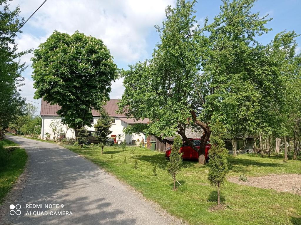 希隆斯克地區格雷富夫的住宿－Róże i Jabłonie Agroturystyka，树荫路旁的房子