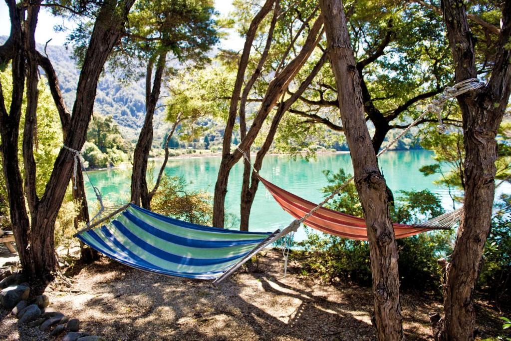 a hammock in the trees next to a lake at Hopewell Lodge in Kenepuru Sounds